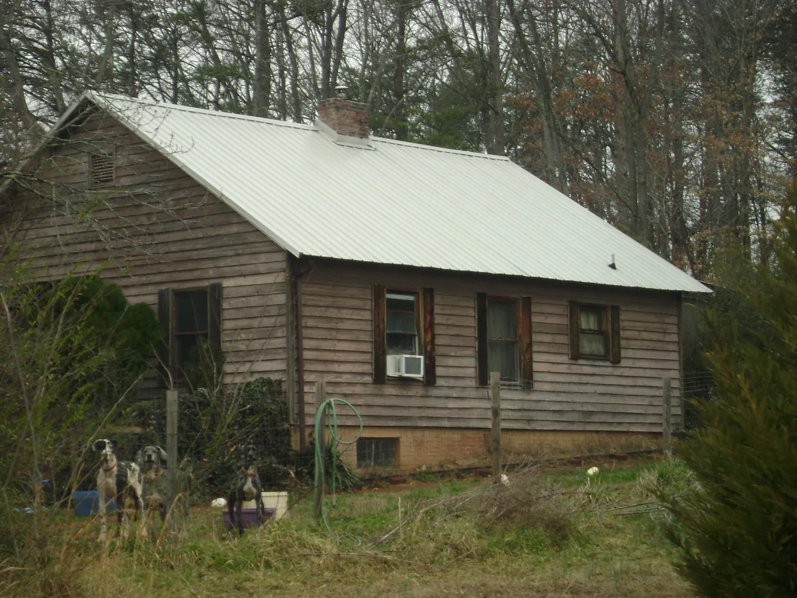White metal roof on an old wood sided farmhouse, from a Asphalt Shingle Roof Repair job in Little Compton